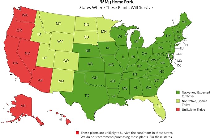 16 Outdoor Native Plants for Full Sun to Support Monarch Butterflies – Includes Common Milkweed, Lanceleaf Coreopsis, Blue Mistflower & Calico Aster – Not Seeds – 4–8” Tall on Arrival – Easy to Grow