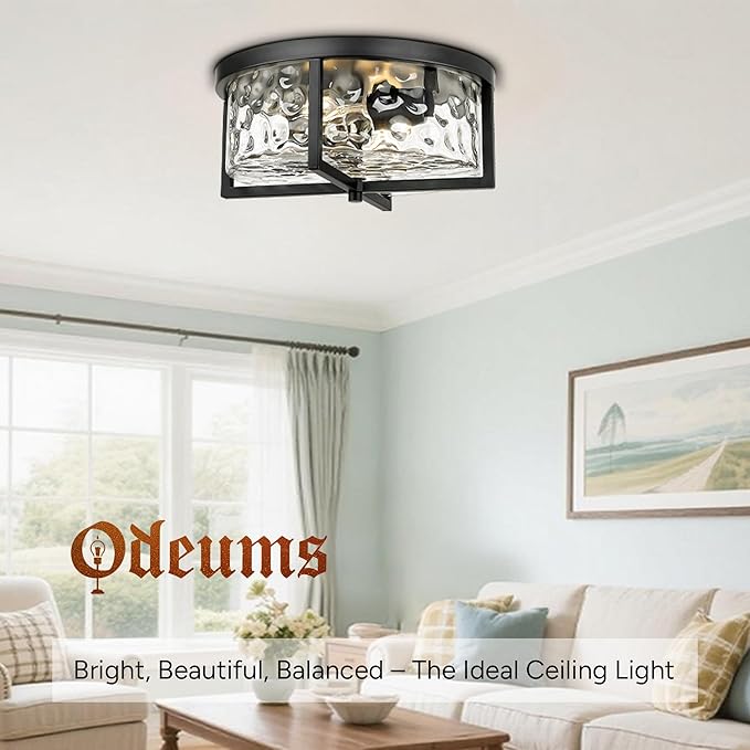 Modern Flush Mount Ceiling Light, 13" D 2-Light Industrial Close to Ceiling Lights, Hammered Glass Ceiling Light,Flush Ceiling Light for Hallway, Kitchen, Bathroom, Dining Room (Black,)