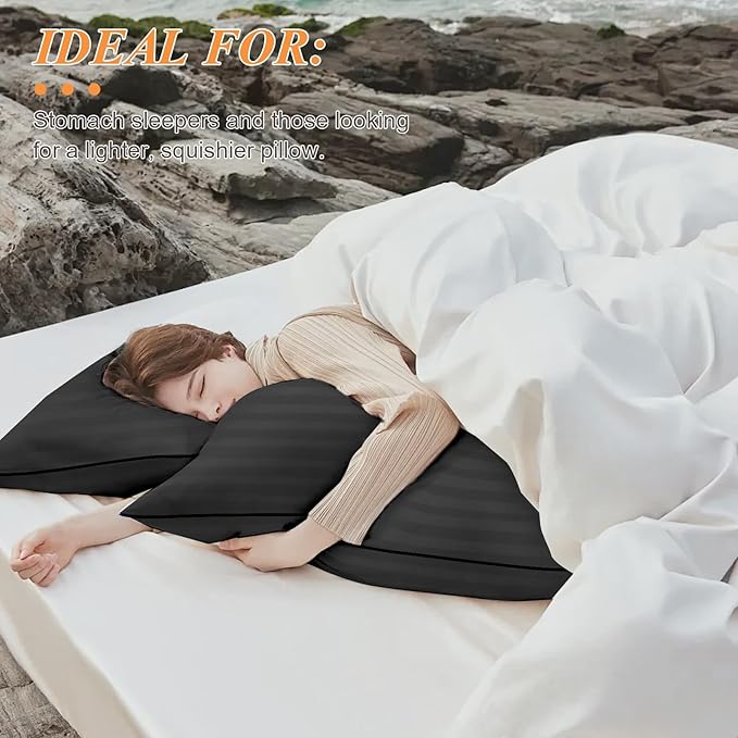 16x24 Throw Pillows Insert Set of 2, Decorative Pillows for Couch and Bed, Indoor Square Pillow Stuffing for Living Room with Premium Original Down Alternative Filling, Black