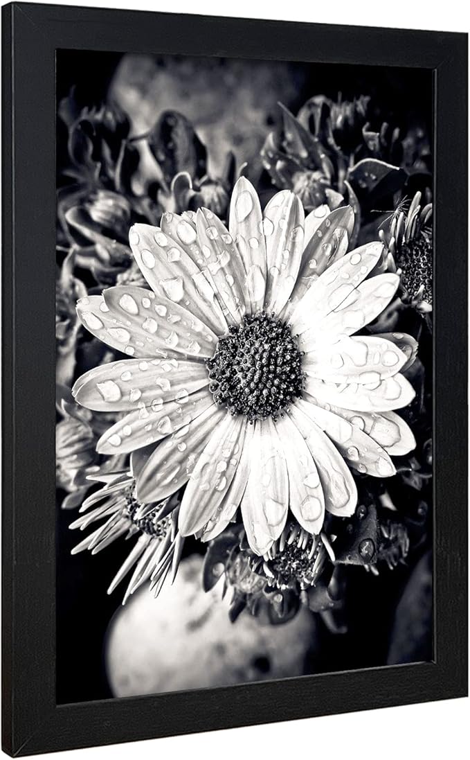 VCK Poster Frame 11×17 Inch Wooden Picture Frames Set Black Certificate Frame Wall Mounting Type for Gallery Office Home