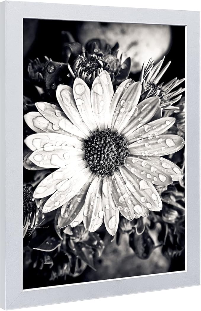 VCK Poster Frame 11×17 Inch Wooden Picture Frames White Certificate Frame with Plexiglass Wall Mounting Type for Gallery Office Home