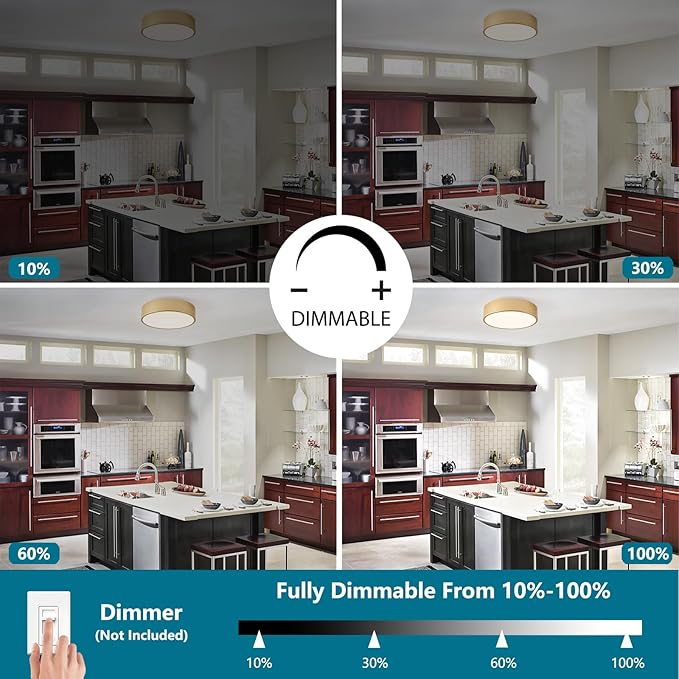 Modern Flush Mount Ceiling Light, 2-Light Round Gold, 11.8" Acrylic Shade for Bedroom, Kitchen, Living Room