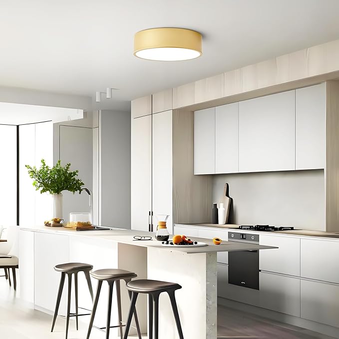 Dimmable Modern Flush Mount Ceiling Light Fixture,Painted Gold Round LED Ceiling Lights Fixtures,5CCT 2700K-6000K Lighting for Kitchen Hallway Bedroom Laundry Room Entryway Closet 11.81 inch