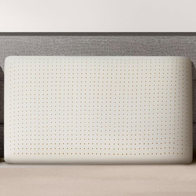 Talalay 100% Natural Premium Latex Pillow, Queen Bed Pillow with Removable Cotton Cover, Helps Relieve Pressure, Sleeping Pillow Suitable for Back and Side Sleepers and as Travel Pillow (King)