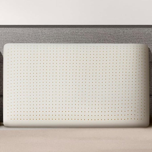 Talalay 100% Natural Premium Latex Pillow, Queen Bed Pillow with Removable Cotton Cover, Helps Relieve Pressure, Sleeping Pillow Suitable for Back and Side Sleepers and as Travel Pillow (King)