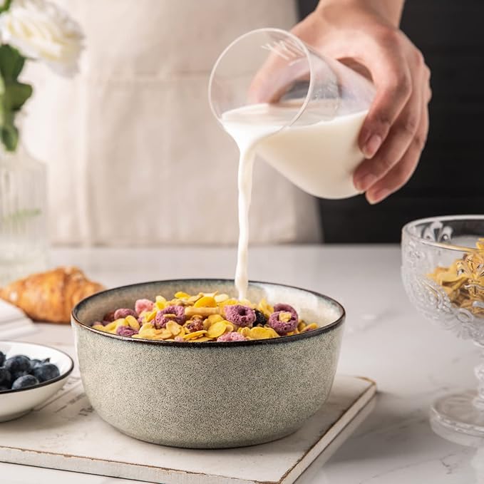 AmorArc Ceramic Dinnerware Sets for 4,Round Reactive Glaze Stoneware Plates and Bowls Set,Highly Scratch Resistant Dishware | Dishwasher & Microwave Safe Dishes Set,Service for 4 (12pc)