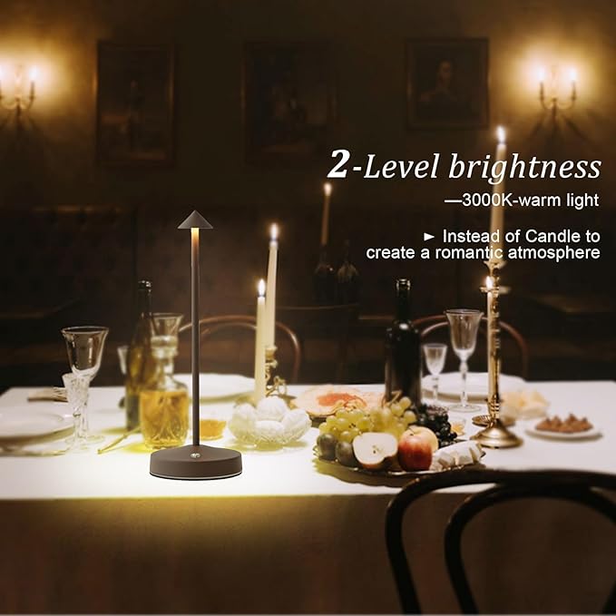 Rechargeable Cordless Table Lamps,Modern Battery Operated Table lamp,Portable LED Touch 2 Levels Brightness Dimmable Bar Lamp,Small Lamp in Aluminum for Bars,Restaurant,Living Room(Rust)