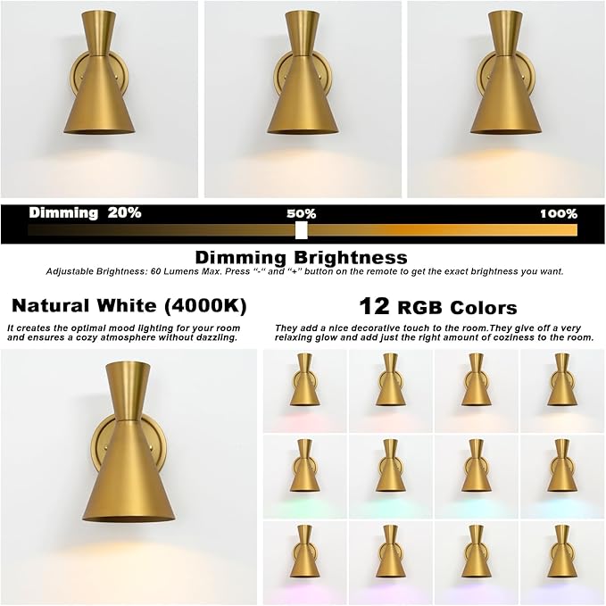 HEQIQEH Adjustable Modern Battery Powered Wall Sconces Light Set of 2 with Flared Funnel Metal Shade, 13 RGB Remote Control Dimmable Wall Mounted Lamp for Galleries, Hallway, Bedroom, Hotels