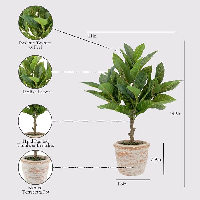 CG Hunter Faux Eucalyptus & Citrus Topiary, Set-of-2 Premium Artificial Indoor Plants, Enhances Interior Design, Lifelike-Leaves Create Realistic Natural Appearance, Grey Planter Pot Included