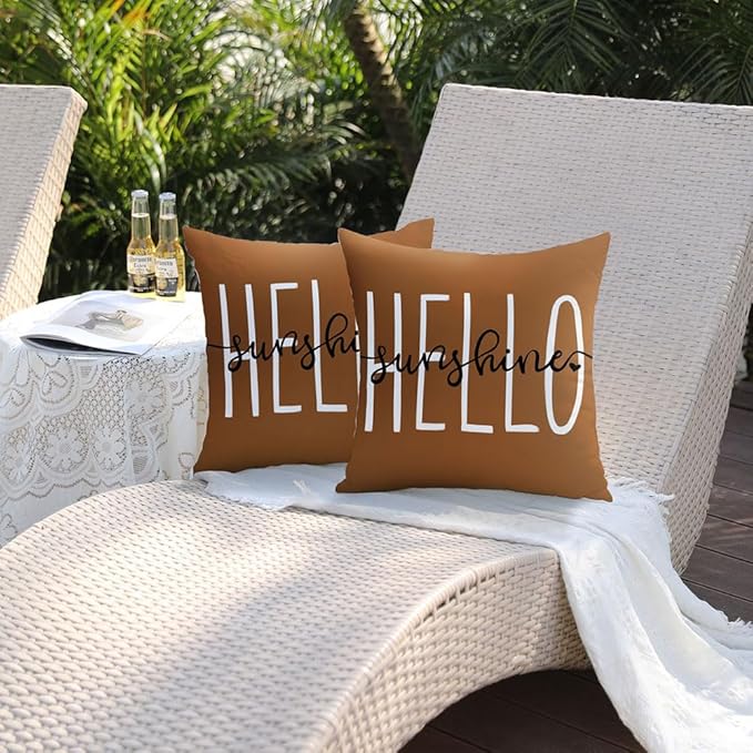 DFXSZ Outdoor Pillow Covers 18x18 Inch Set of 2 Hello Sunshine Decor Rust Waterproof Summer Outdoor Pillowcases Decor for Patio Funiture Garden Sofa Couch 020L18