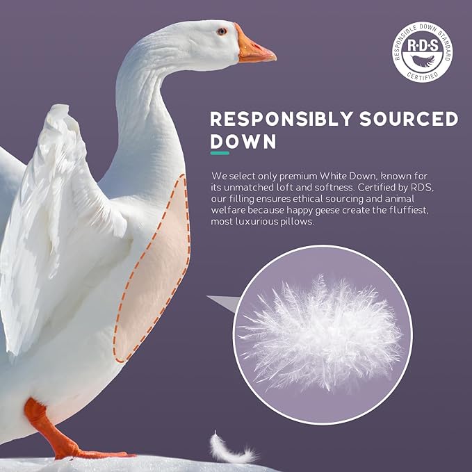 White Goose Down Pillow - Luxury Hotel Bed Pillow with Natural 1000+ Fill Power, Natural Goose Feather Pillow for Sleeping, 600 Thread Count Cotton Shell, Standard Size- Soft, 1 Pack