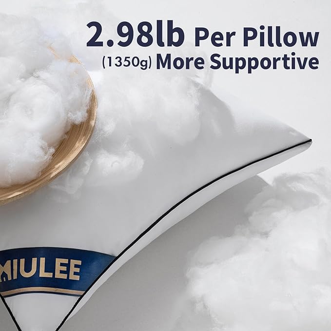 MIULEE 24x24 Euro Pillow Inserts Set of 2 Throw Pillows 24 Inch Premium Down Alternative Pillow Inserts Decorative Pillow Stuffer for Sofa, Couch (24x24 inch, Set of 2)
