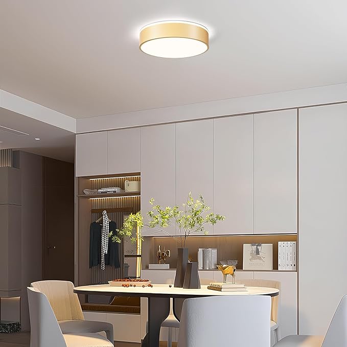 Vikaey Gold LED Ceiling Light Modern Flush Mount Light Fixture Round Metal Ceiling Lamp for Living Room Entryway Bedroom Kitchen 15.74 Inch