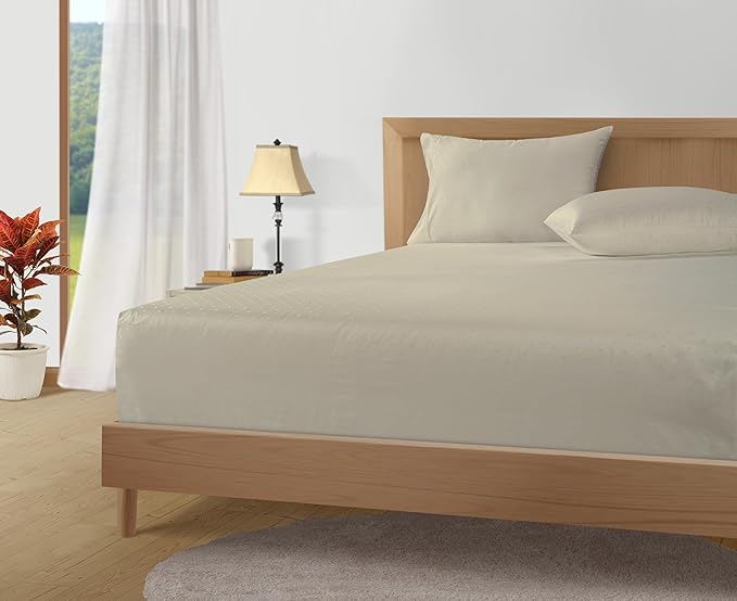 LANE LINEN Pillows Queen Size Set of 2, Soft 100% Egyptian Cotton, Cool & Smooth 1000 Thread Count Pillow Cases - Swiss Dot - Linen