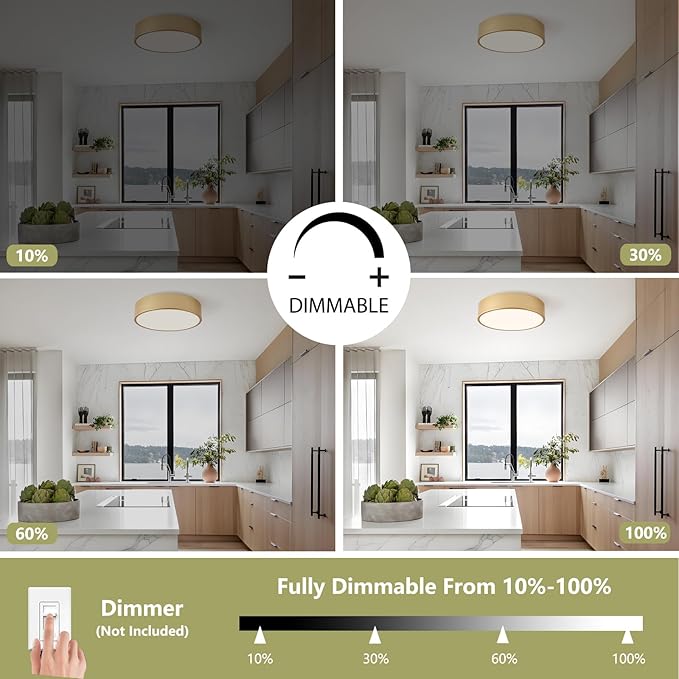 Modern Flush Mount Ceiling Light, 2-Lights Gold Ceiling Light, Minimalistic Ceiling Lamp Acrylic Shade Lighting Fixture for Bedroom Laundry Room Foye Hallway(11.8 Inch)