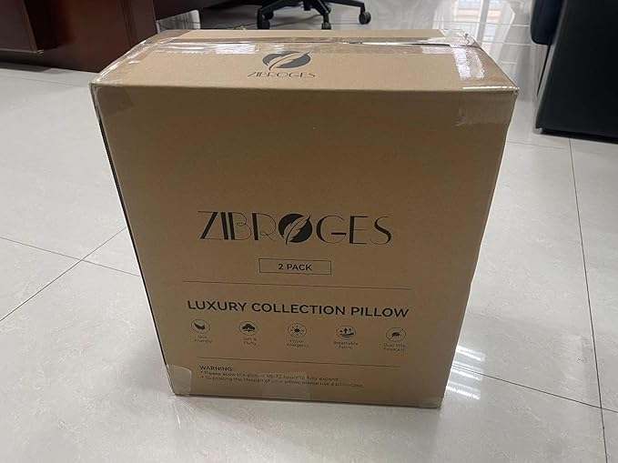 DP01 Bed Pillow, Throw 60x60cm Set of 2, Sky Blue Side 2 Count