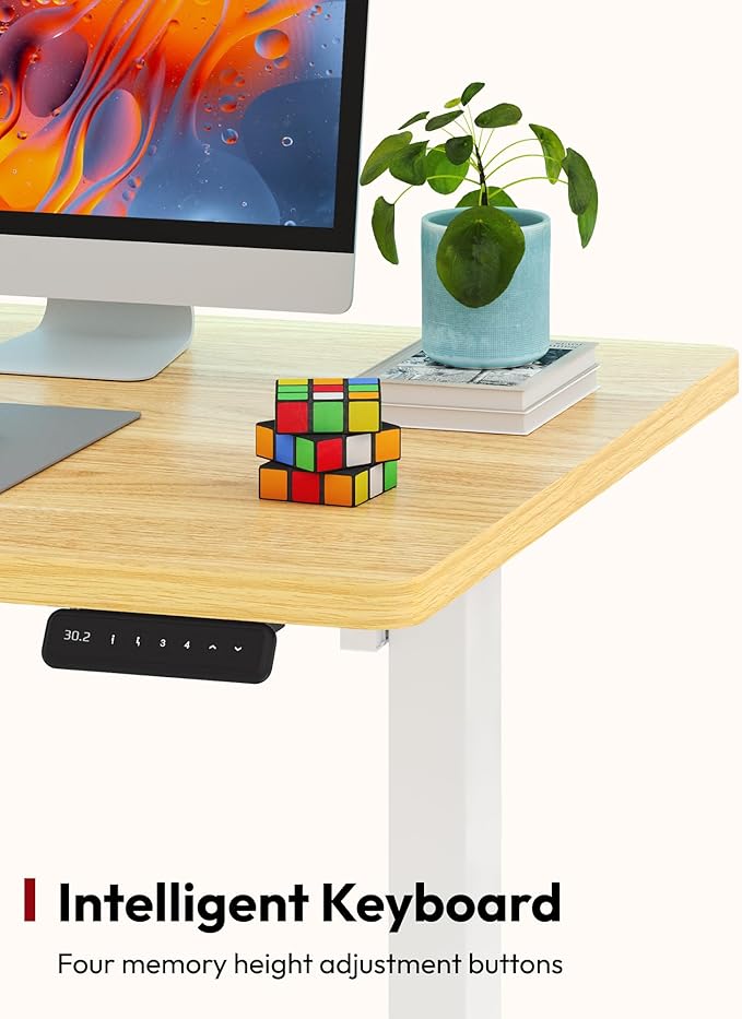 SANODESK Electric Standing Desk 48 x 24 Inches Whole-Piece Desktop Height Adjustable Stand Up Desk w/6-Button Controller Ergonomic Computer Desk for Home Office, White Frame + Natural Tabletop