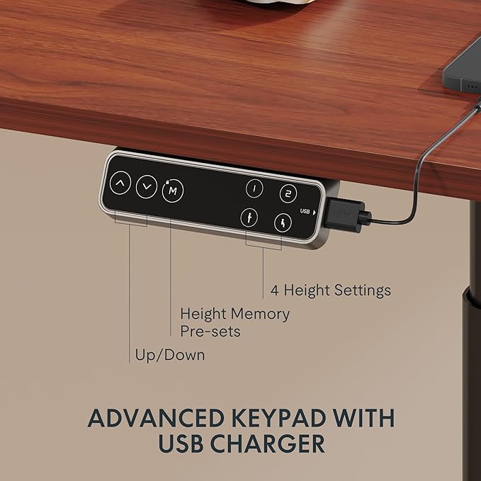 FLEXISPOT E6 Pro Oval Leg Dual Motor 3 Stages Standing Desk 48x30 Inch Whole-Piece Board Electric Height Adjustable Electric Sit Stand Up Desk 150KG Load Capacity (Black Frame + Mahogany Desktop)
