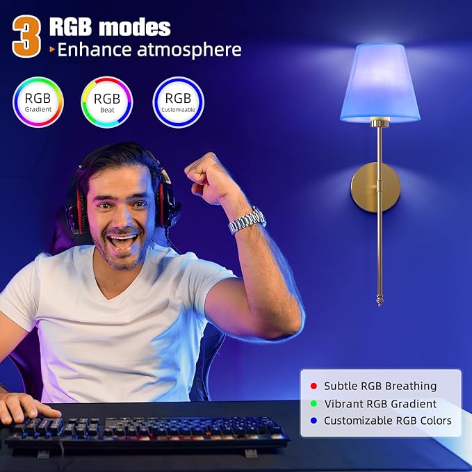 NIORSUN 19.9 inch Battery Operated Wall Sconce Set of 2,Gold Rechargeable Wall Lights with 5200mAh Dimmable Detachable Bulbs and Remote,10 Colors Wireless Sconces for Bedroom Living Room Hallway