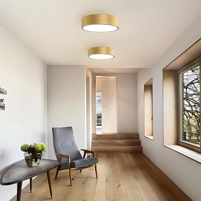 Modern Gold Flush Mount Light, 12 Inch 2-Light Round Close to Ceiling Fixture, Minimalist Lamp for Foyer, Hallway, Kitchen Island, Bedroom, Laundry, Bathroom
