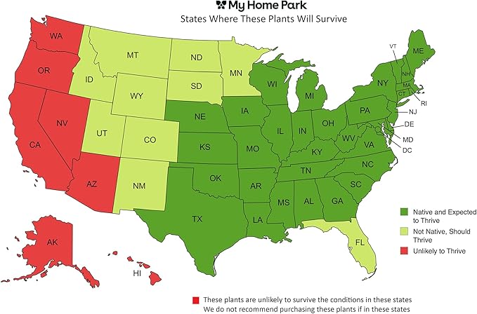 16 Outdoor Native Plants for Full Sun & Wet Ground – Includes Brown-Eyed Susan, Golden Alexanders, Smooth Penstemon & Great Blue Lobelia – Not Seeds – 4–8” Tall on Arrival – Easy to Grow Perennials