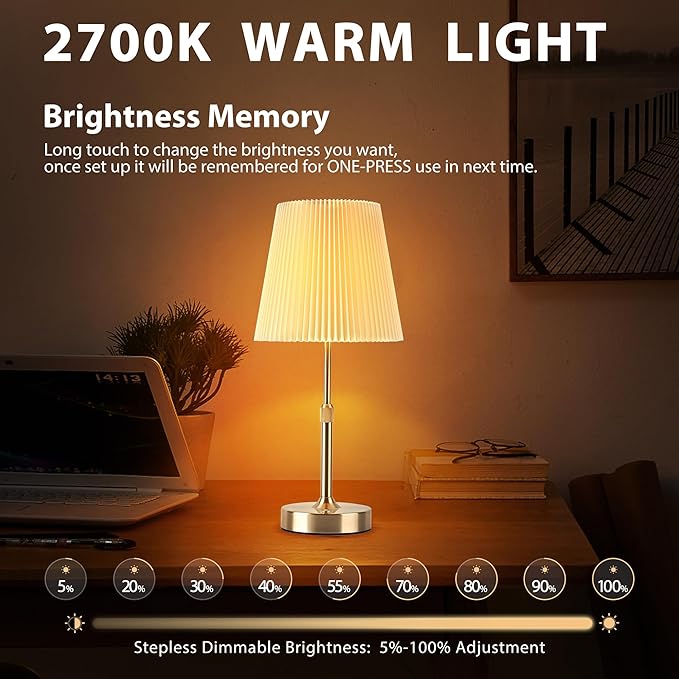 Cordless Table Lamp, 2700K Stepless Dimmable Wireless Touch Lamp with 2 Bulbs, 5200mAh Rechargeable Battery Operated Lamps for Living Room, Kitchen, Bedside, Dining Room, Bar(Silver)