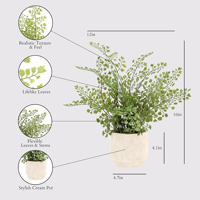 CG Hunter Faux Snake Plant & Fern, Set-of-2 Premium Artificial Indoor Plants, Enhances Interior Design, Lifelike-Leaves Create Realistic Natural Appearance, Grey Planter Pot Included