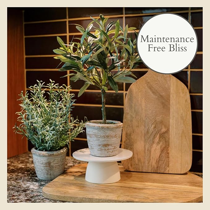 CG Hunter Faux Rosemary Plant & Olive Topiary, Set-of-2 Premium Artificial Indoor Plants, Enhances Interior Design, Lifelike-Leaves Create Realistic Natural Appearance, Grey Planter Pot Included