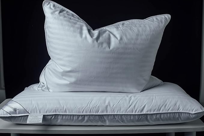 Goose Feather Blend with Polyester Bed Pillows 100% Cotton, Medium Firm Soft Support Queen Pack of 2, Stripe White