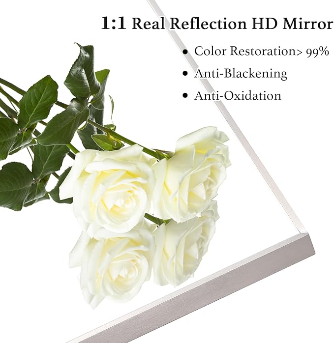 20x40 Inch Silver Bathroom Mirror - Copper-Free Mirror, Aluminum Alloy Frame Vanity Rectangle Wall Mounted Modern Mirror for Bedroom/Living Room/Porch Horizontal or Vertical