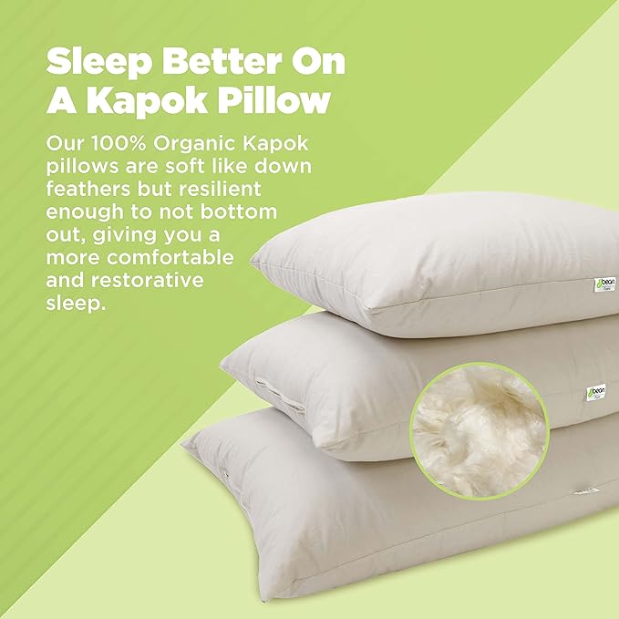 Bean Products Kapok 20" x 30" Queen Pillow - Breathable, Eco-Friendly and Durable Organic Cotton Fabric Bed Pillow - Soft and Supportive Pillow for Sleeping, Made in The USA