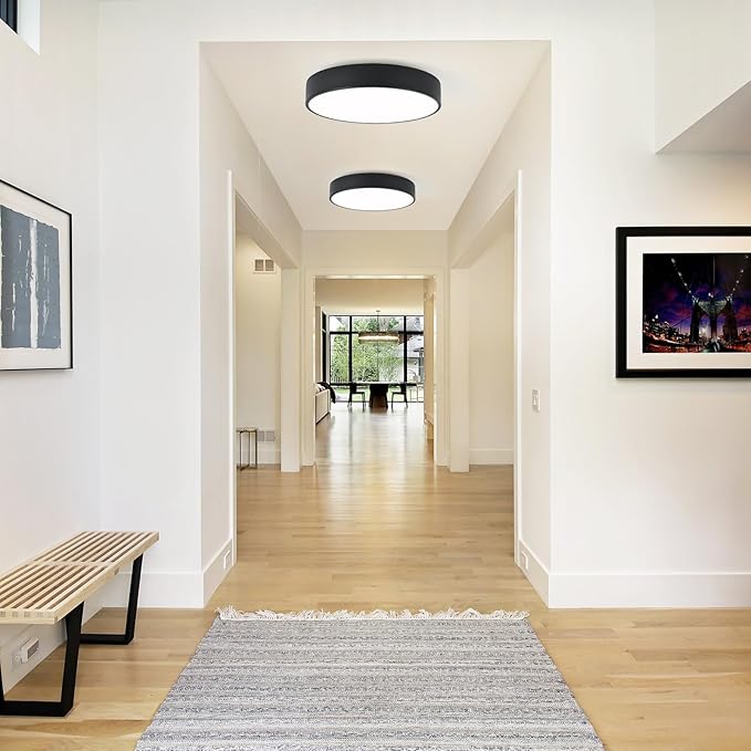 Modern Flush Mount Ceiling Light, 3-Lights Round Black Ceiling Light Fixtures, Minimalistic Ceiling Lamp Acrylic Shade Lighting Fixture for Bedroom Laundry Room Living Room Hallway(15.8")