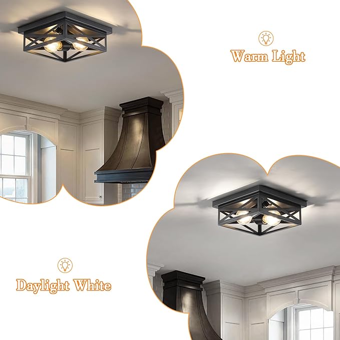Black Rustic Metal Flush Mount Ceiling Light Fixture, 2-Light Industrial Farmhouse Hallway Light Fixtures, Metal Cage Closed to Ceiling Mounted Lights for Bedroom Kitchen Ceiling Lights