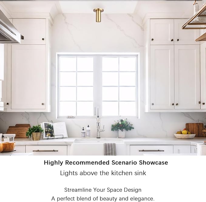 Brass Cylinder Ceiling Light Fixture, Flush Mount LED Dimmable Spot Light, Living Room Hallway Kitchen Dining Room Foyer