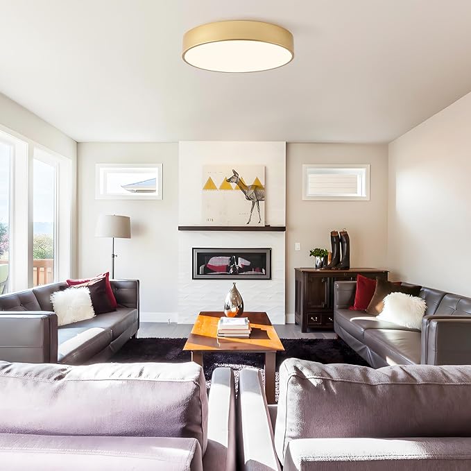 Modern Flush Mount Ceiling Light, 3-Lights Gold Ceiling Light, Minimalistic Ceiling Lamp Acrylic Shade Lighting Fixture for Bedroom Laundry Room Bathroom Hallway(15.8 Inch)