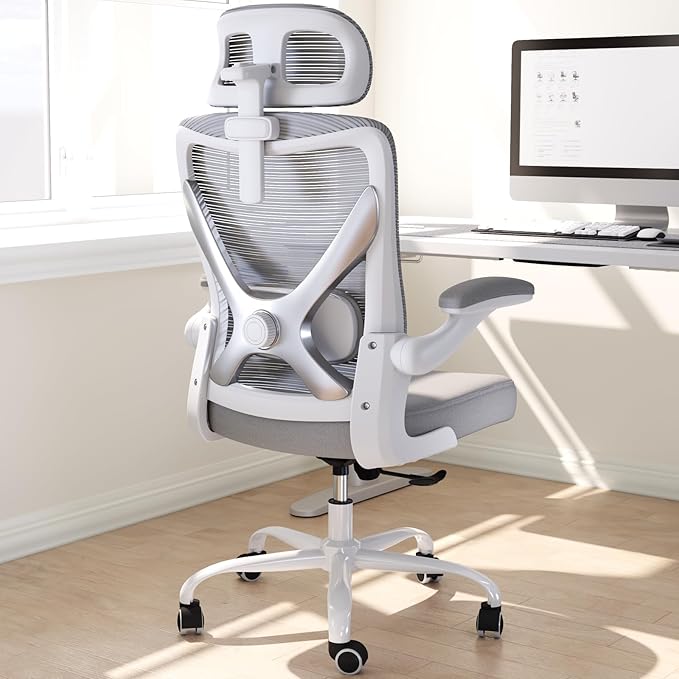 Ergonomic Office Chair - Computer Desk Chairs Comfy, Mesh High-Back Gaming Chair with Adjustable Lumbar Support, Executive Task Chair for Adults, Comfortable for Long Hours (Grey Silver)