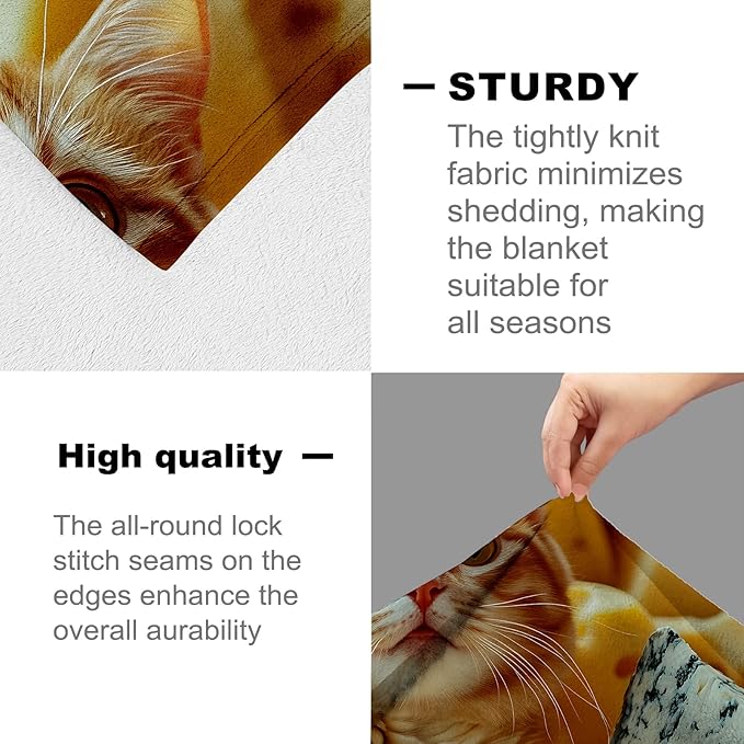 Adorable Cheese Cat Flannel Throw Blanket 60x80 Inch, Cute Orange Kitten Throws, Whimsical Food Humor Fleece Blankets for Couch, Bed, Sofa, Travel, Pet Lovers Novelty Gifts Decor