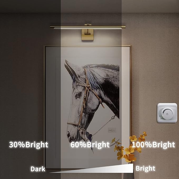Joosenhouse LED Picture Light Fixtures Dimmable 24.4 Inches, Full Metal Artwork Display Lamp with Single Swing Arm, 14W (70W Eqv), Hardwired Connection, 3000K Warm White, Golden-Like Brass Finish