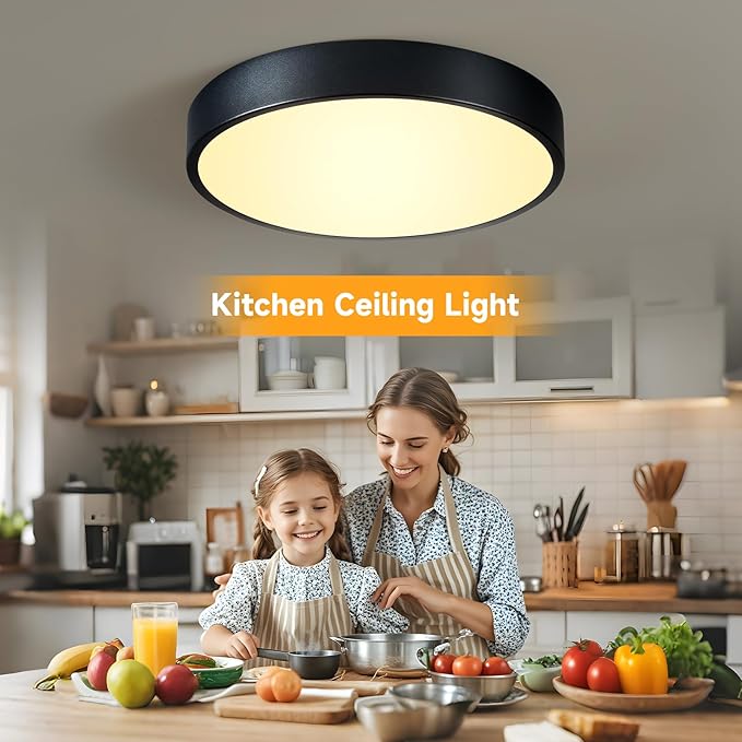 LED 12 inch Round Flush Mount Ceiling Light Black Dimmable 24W 5CCT Metal Black Ceiling lamp and is Ideal for hallways Kitchens bedrooms corridors Children's Rooms 3 Pack