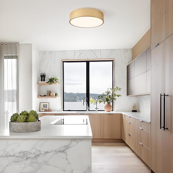 Modern Flush Mount Ceiling Light, 2-Lights Gold Ceiling Light, Minimalistic Ceiling Lamp Acrylic Shade Lighting Fixture for Bedroom Laundry Room Foye Hallway(11.8 Inch)