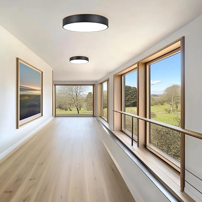 Black Flush Mount Ceiling Light Fixture,4-Light Oversized Close to Ceiling Light, 18.1 Inch Large Light Fixtures Ceiling Mount for Kitchen,Hall,Entryway Bedroom,Bathroom,Living Room,Outdoor