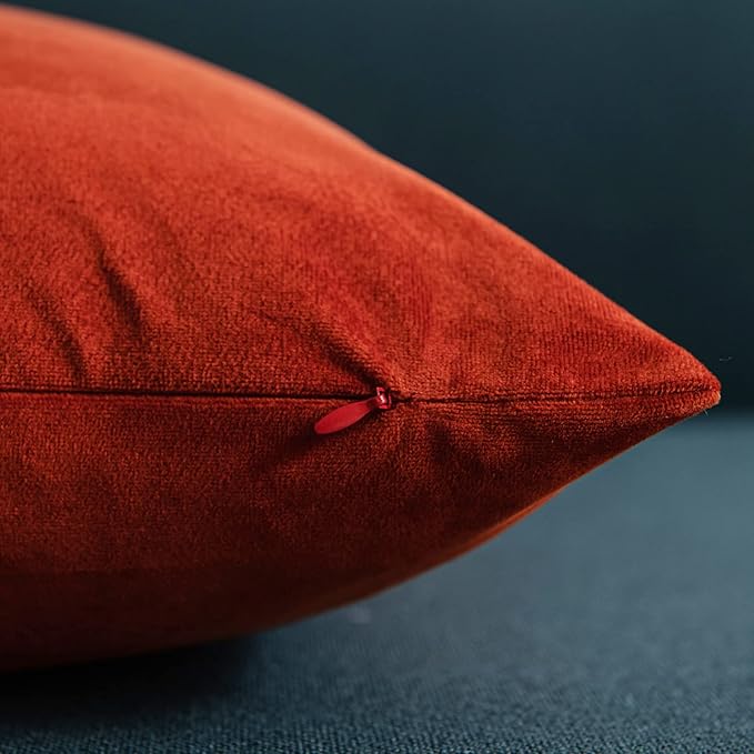 DEZENE Fall Couch Pillow Cases 24x24 Burnt Orange: 2 Pack Cozy Soft Velvet Square Throw Pillow Covers for Farmhouse Home Decor