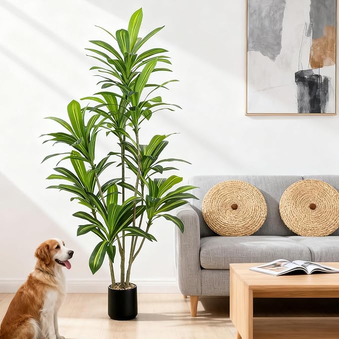 Artificial Dracaena Tree 6FT Tall, Realistic Faux Indoor Floor Plant for Home & Office Decor, Black Round Planter with Decorative Stones – UPBUD