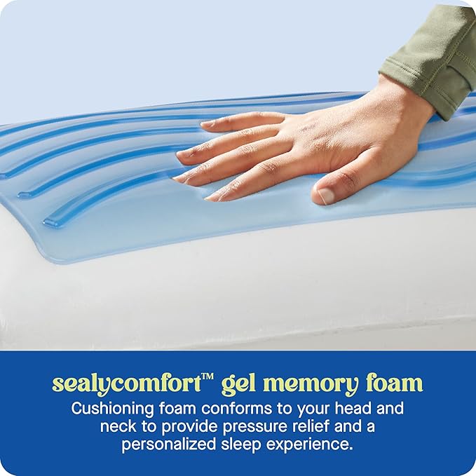 SEALY Dreamlife Memory Foam, Standard Pillow, White