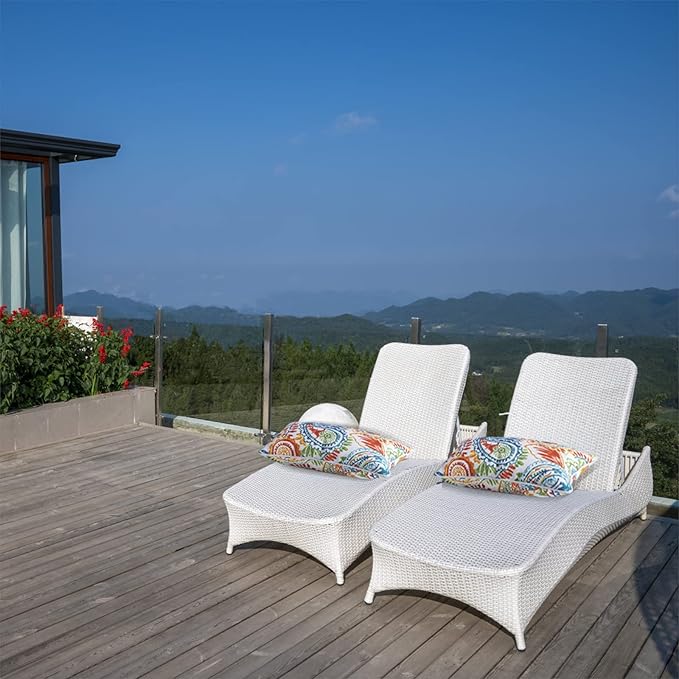 Outdoor Lumbar Pillows Waterproof Set of 2 Decorative Pillows with Inserts 12×20 Inch Outdoor Pillow for Patio Furniture (Paisley Print)