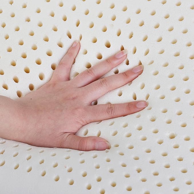 WOOLROOM All Natural Latex Bed Pillow Standard Size - Pressure Relieving Latex Pillow - Molds to Your Head - Encased in Traceable Machine Washable British Wool Organic Cotton Champagne Cover