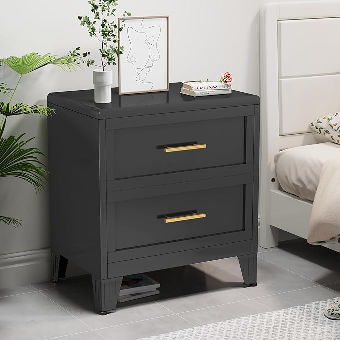 Metal Dresser Narrow Dresser for Bedroom Chest, 26.42" H Drawer Chest, Closet Dressers & Chests of Drawers for Living Room, Hallway (2 Drawers Black 24inch Wide)