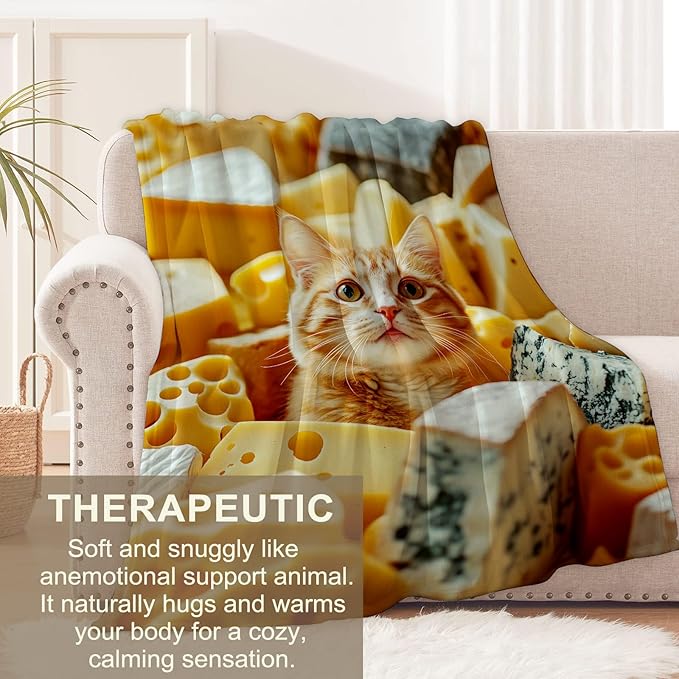 Adorable Cheese Cat Flannel Throw Blanket 40x50 Inch, Cute Orange Kitten Throws, Whimsical Food Humor Fleece Blankets for Couch, Bed, Sofa, Travel, Pet Lovers Novelty Gifts Decor