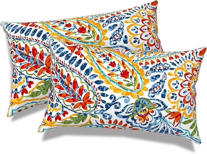 Pack of 2 Outdoor Lumbar Pillow Covers, All Weather Cushion Pillow Cases 12x20 Inch, Pillowcase for Patio Couch Decoration, Paisley Multi