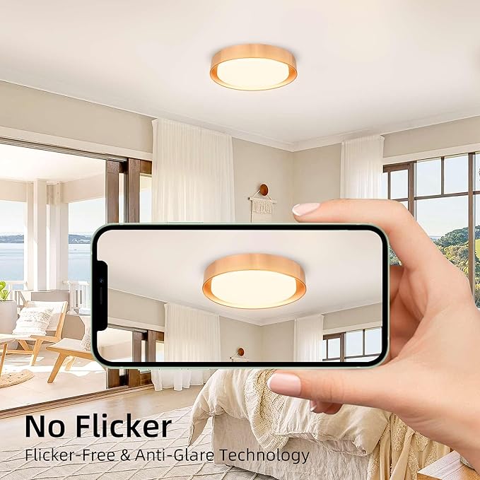 Hlite 13 inch Ceiling Light Fixture,Gold LED Flush Mount Ceiling Light, 3000K/Warm White/24W,Dimmable 1920LM Indoor Room Decorative Modern Ceiling Lights for Bedroom Kitchen(2 Pack)